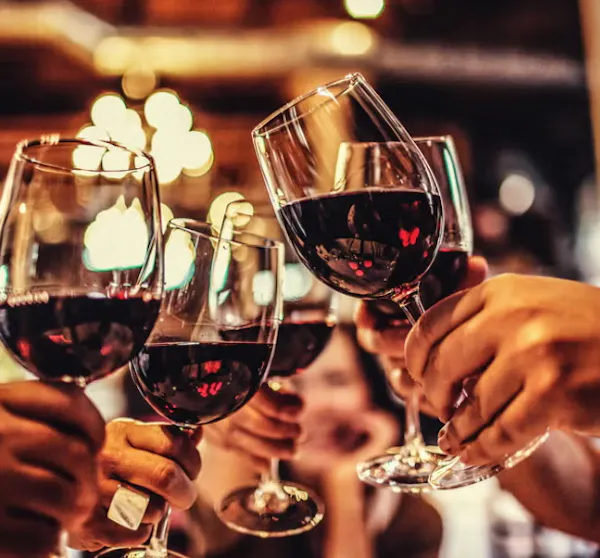 stemware, drinkware, tableware, alcoholic drink, wine glass, red wine
