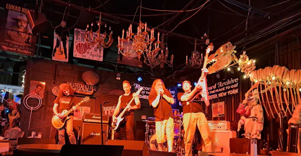musical instrument, chordophone, performing arts, entertainment, guitar, stage