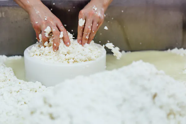 ingredient, food, recipe, powder, flour, bread flour