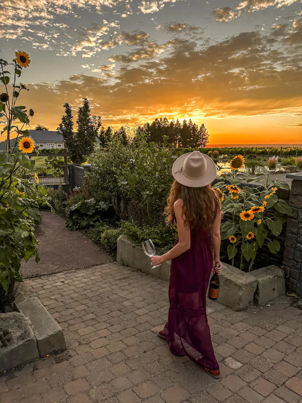 plant, cloud, sky, flower, botany, people in nature