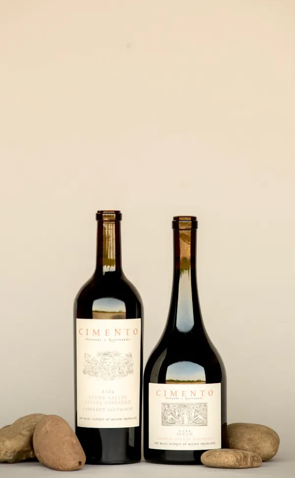 bottle, alcoholic drink, glass bottle, alcohol, barware, wine bottle