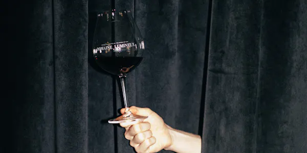 stemware, drinkware, wine glass, tableware, alcoholic drink, barware