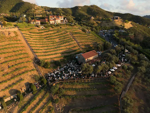 hill station, agriculture, plantation