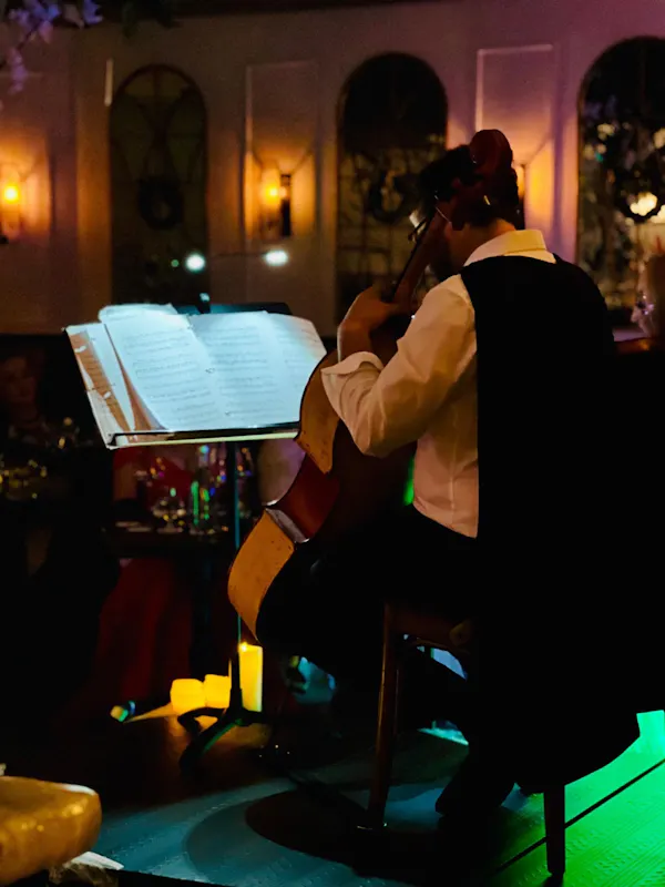 musical instrument, string instrument, chordophone, performing arts, music, entertainment