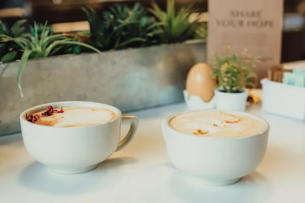 tableware, drinkware, dishware, plant, cup, ingredient