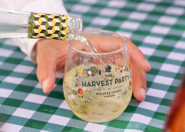 tableware, alcoholic drink, drinkware, liquor, stemware, barware