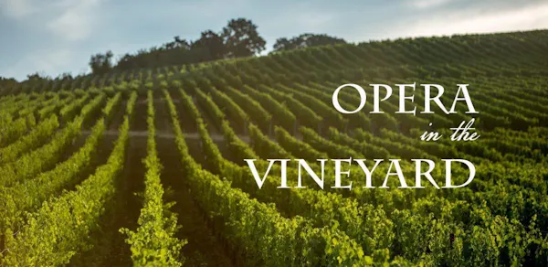 agriculture, plantation, vineyard, grapevines, crop