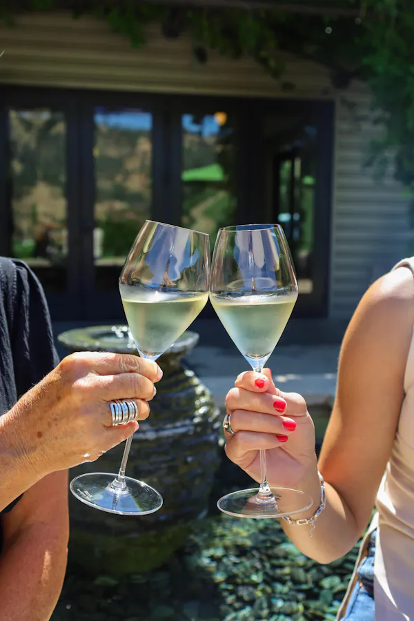 stemware, tableware, drinkware, wine glass, alcoholic drink, barware
