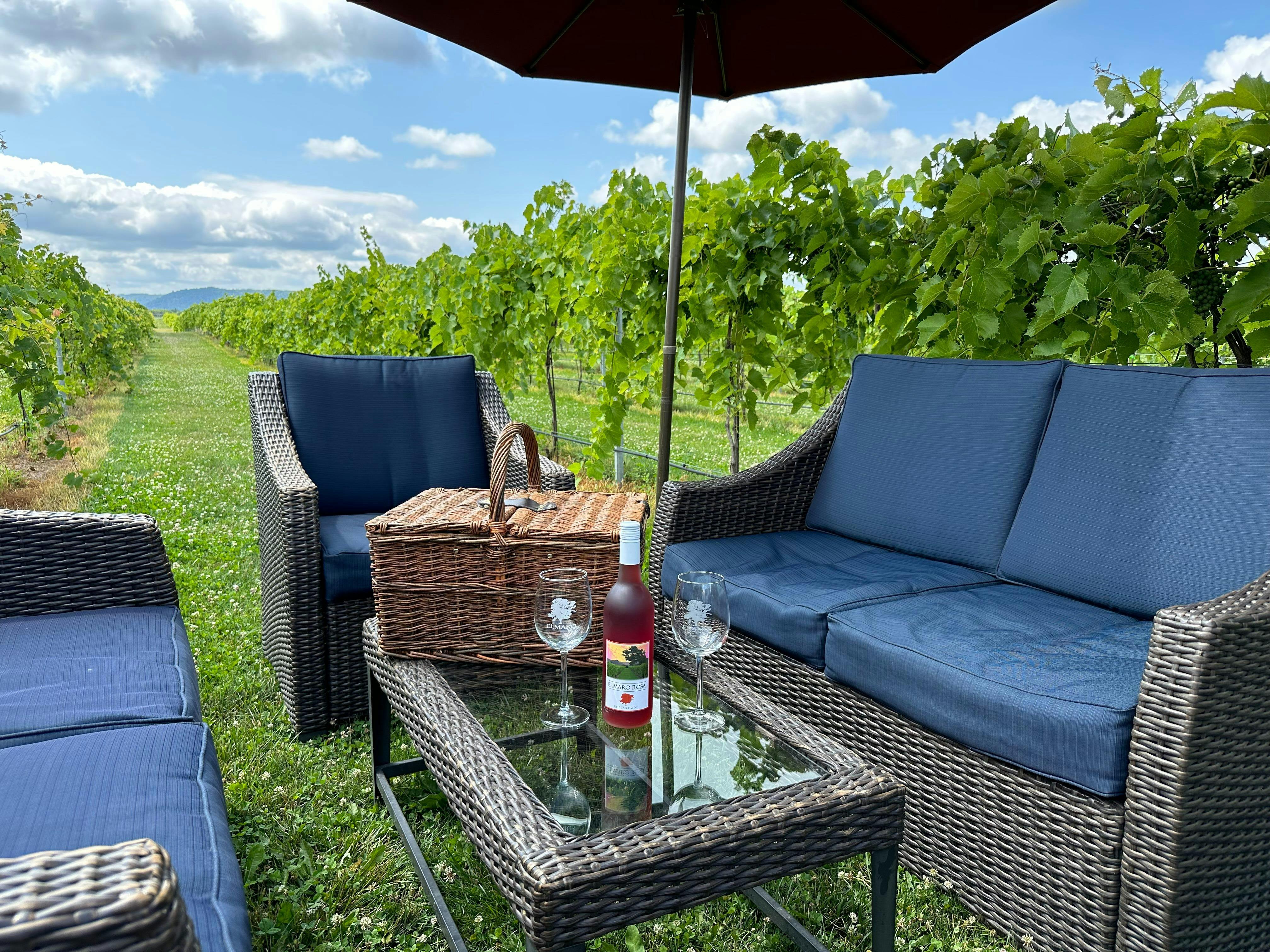 Elmaro Vineyard
