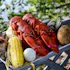 Cabbage Island Clambakes