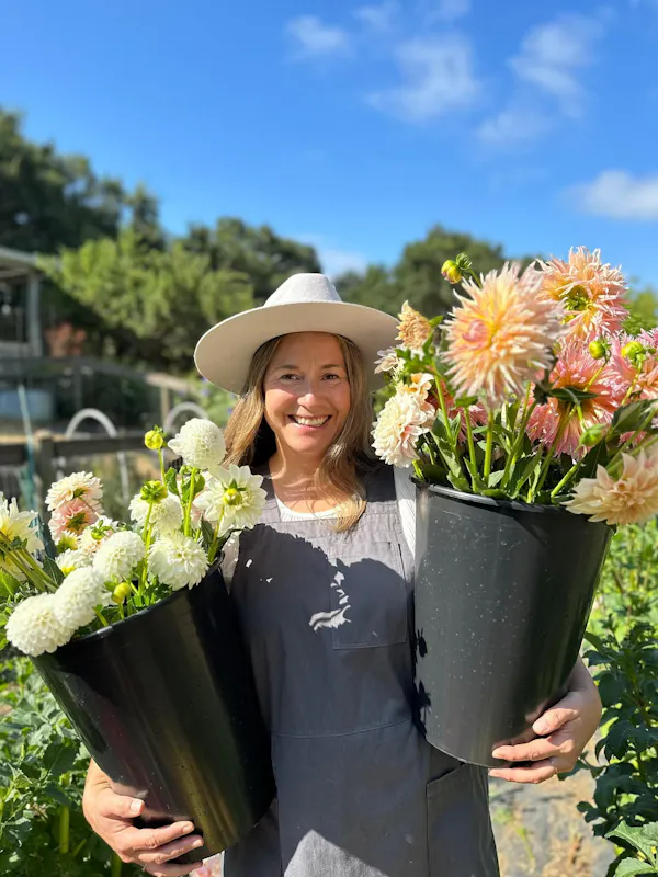 flower, floristry, petal, flower bouquet, cut flowers, flower arranging