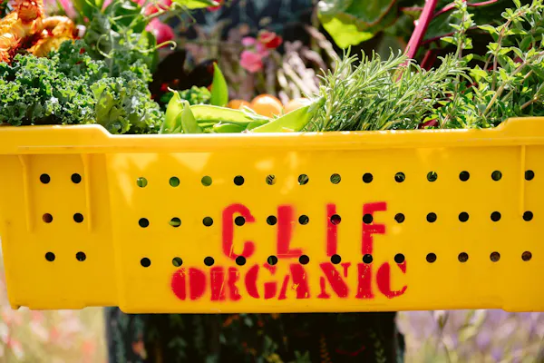produce, natural foods, food, crate, market, basket
