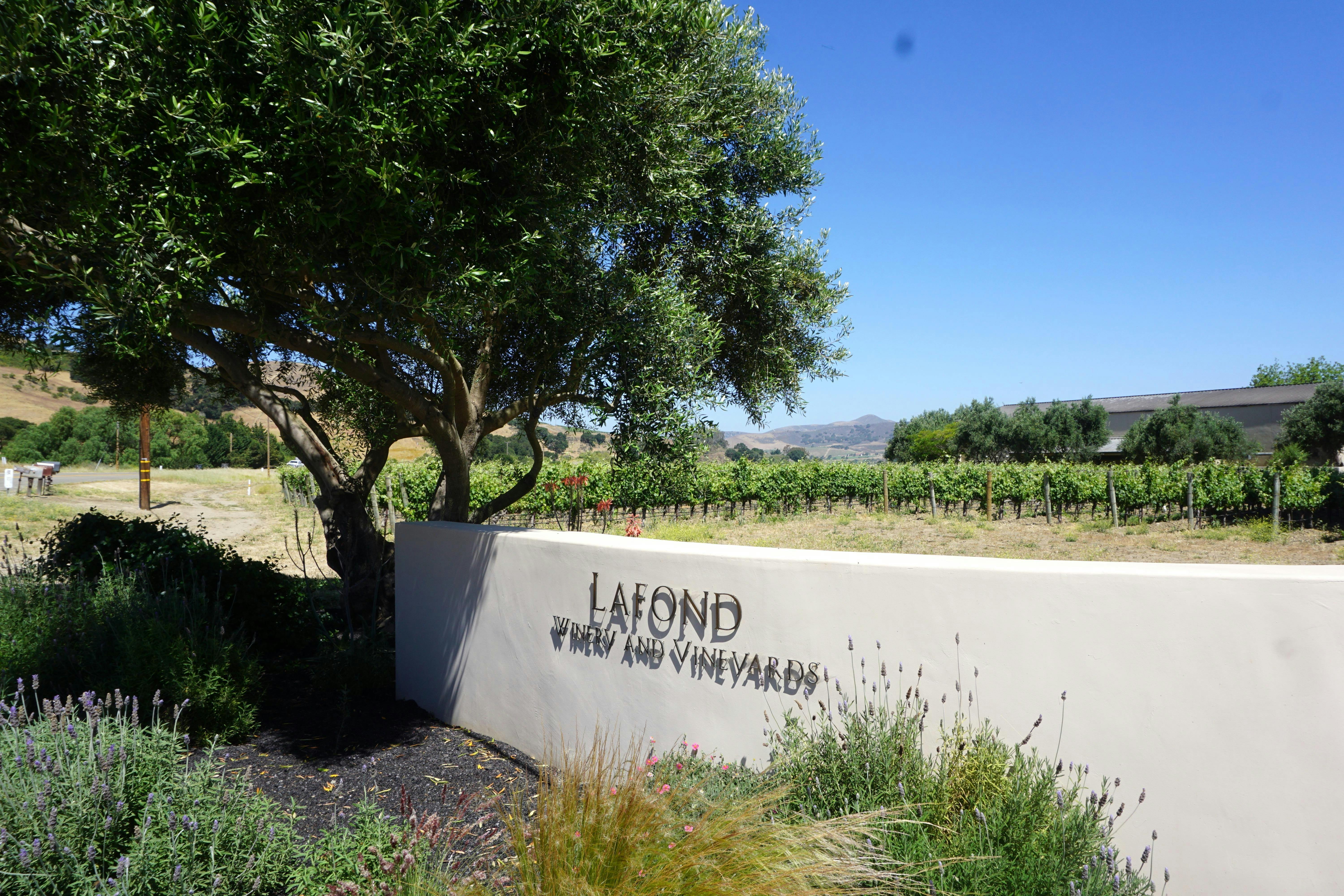 Lafond Winery and Vineyards