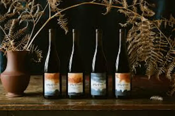 glass bottle, bottle, alcoholic drink, wine bottle