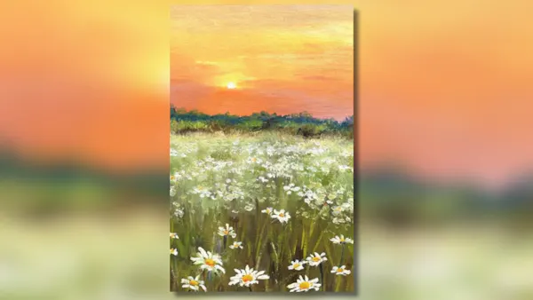 flower, yellow, grassland, prairie, field, meadow