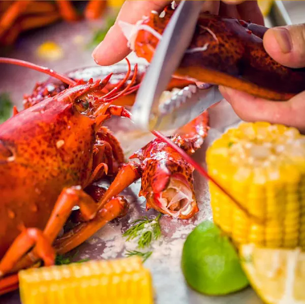 food, ingredient, tableware, corn kernel, maize, seafood