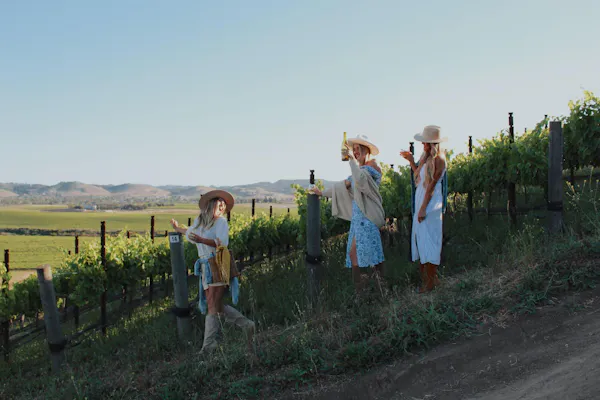 plant, sky, gesture, fence, travel, hat