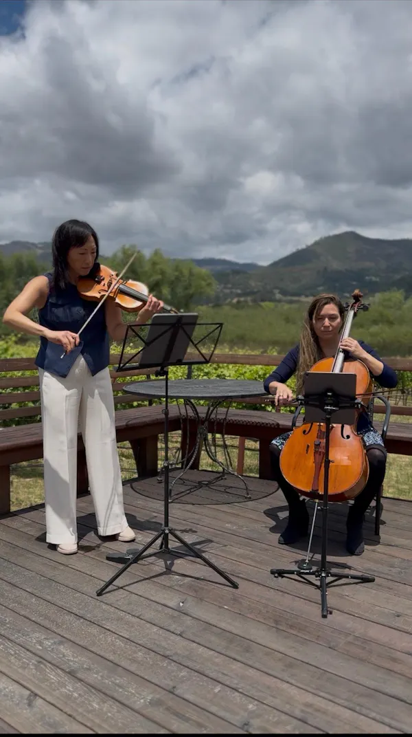 musical instrument, string instrument, violin family, chordophone, violinist, music