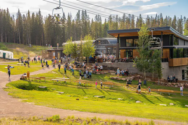 recreation, leisure, hill station, slope, larch, vacation