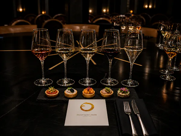 stemware, tableware, drinkware, champagne glass, wine glass, barware