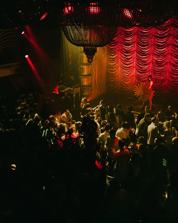entertainment, event, music venue, audience, crowd, public event
