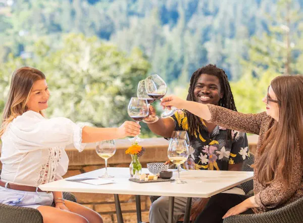 tableware, stemware, drinkware, wine glass, alcoholic drink, happiness