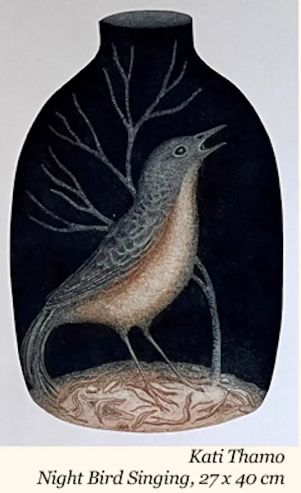 bird, vertebrate, beak, feather