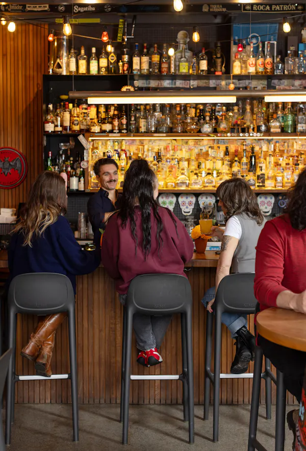 alcoholic drink, bar, bottle, liquor, barware, pub