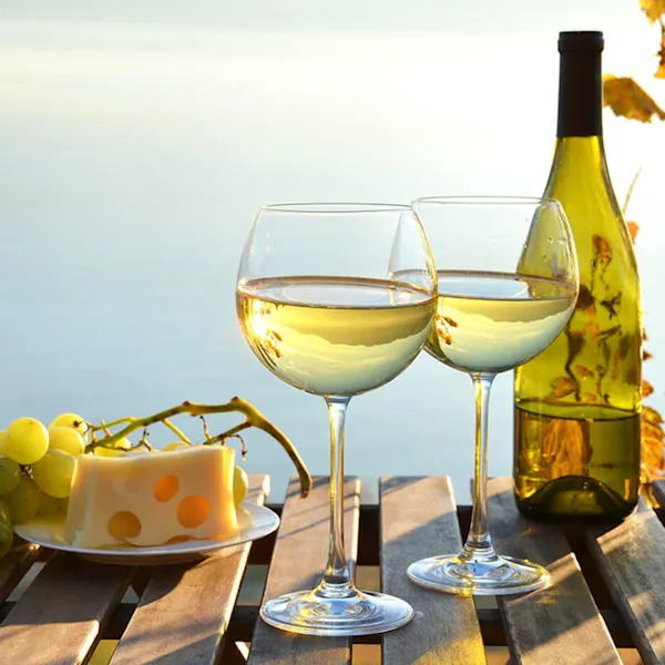 stemware, tableware, drinkware, wine glass, alcoholic drink, barware