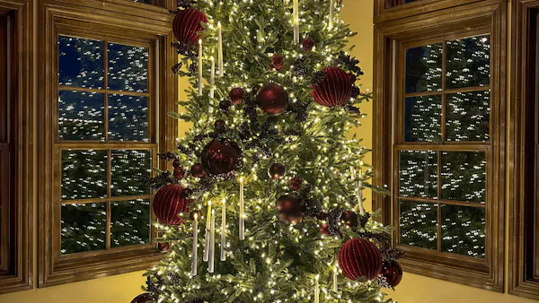 christmas decoration, christmas ornament, christmas day, christmas tree, holiday ornament, lighting