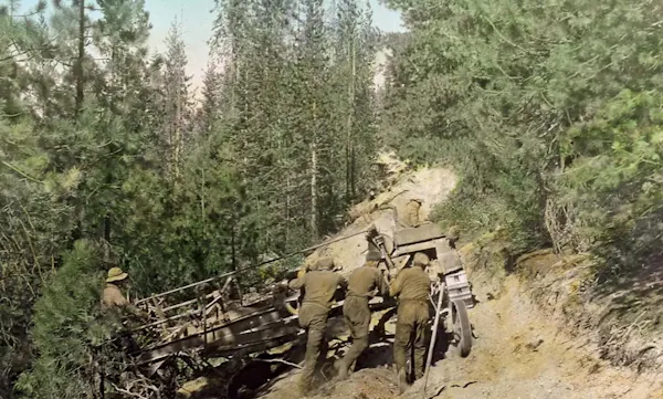 military vehicle, military person, off-road vehicle, conifers, military, spruce-fir forests