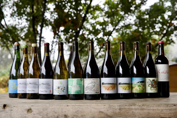 bottle, glass bottle, alcoholic drink, wine bottle, alcohol, wine