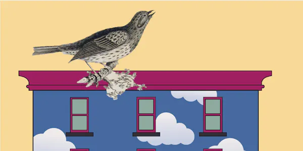 bird, beak, illustration, graphics