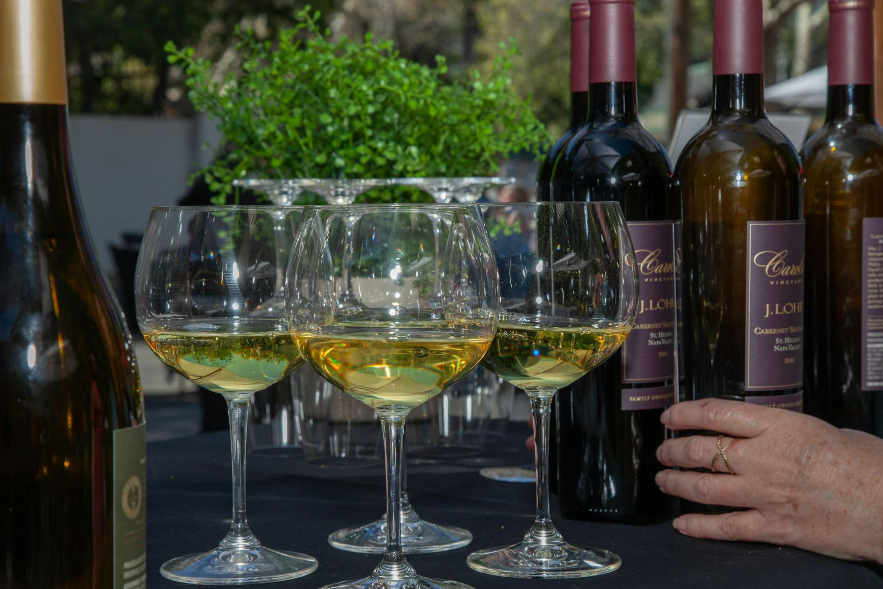 J. Lohr San Jose Wine Center San Jose Wine Order Pick Up San Jose