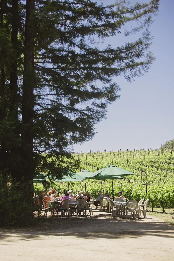 umbrella, outdoor furniture, outdoor table, shade, chair, evergreen