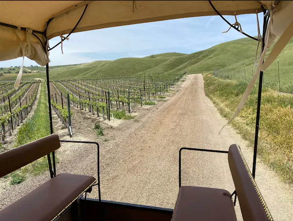 shade, plantation, agriculture