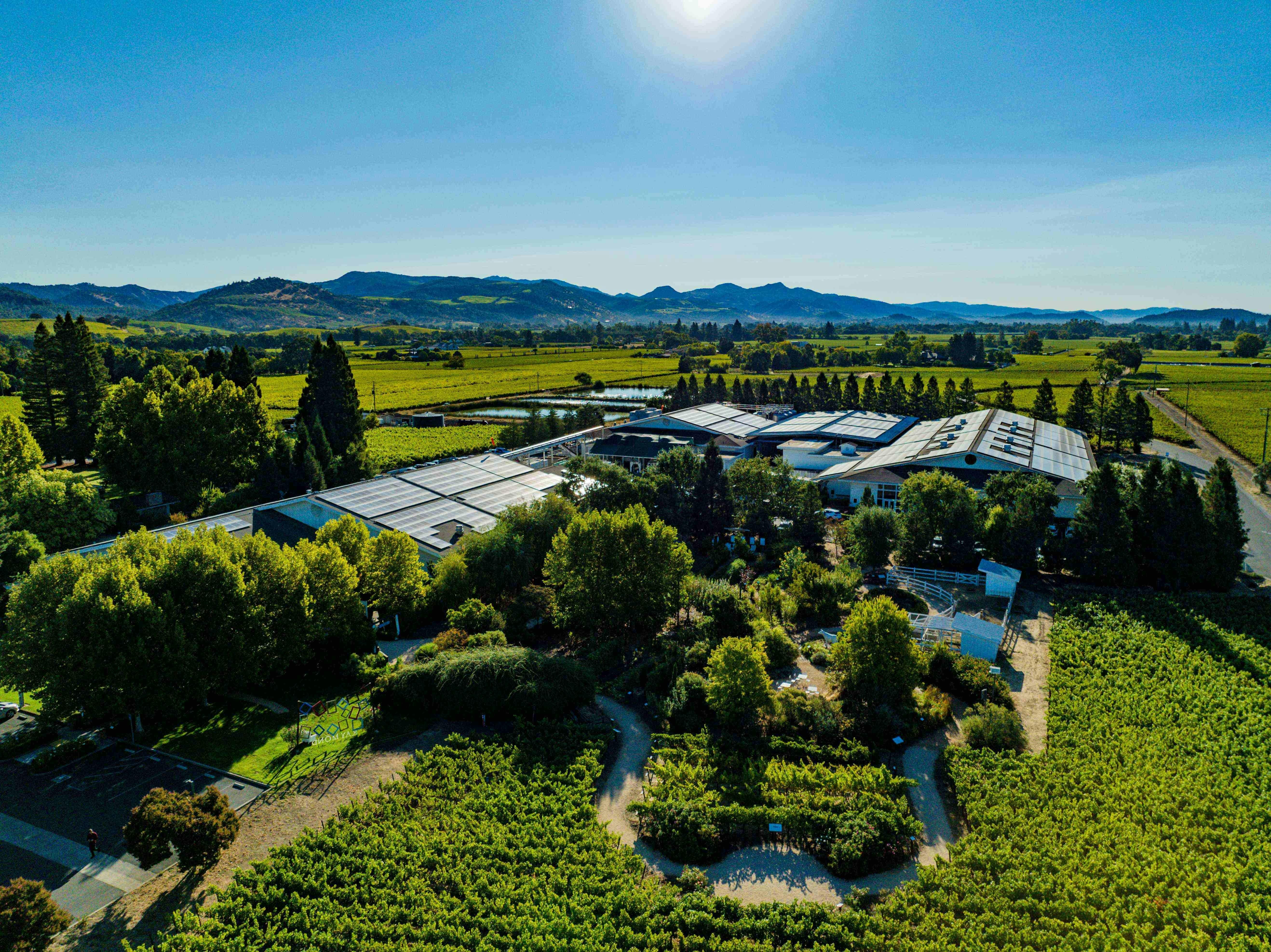 Raymond Vineyards