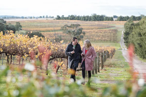 agriculture, people in nature, plantation, field, vineyard, soil