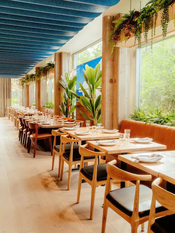 table, furniture, property, plant, chair, wood