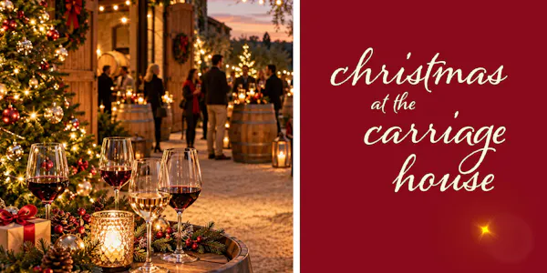 christmas decoration, red, christmas day, event, lighting, christmas lights