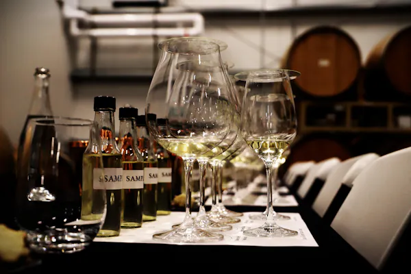 stemware, drinkware, barware, tableware, alcoholic drink, alcohol