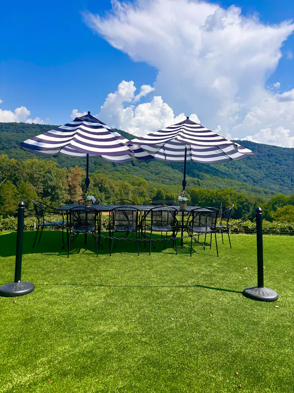 furniture, outdoor furniture, outdoor table, table, lawn, shade