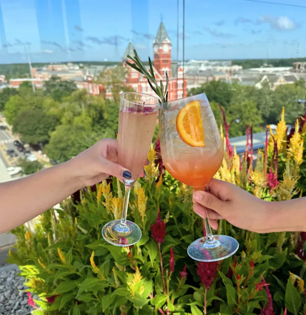 tableware, alcoholic drink, drinkware, cocktail, liquor, stemware