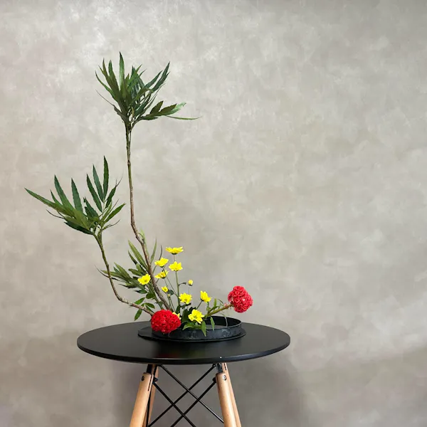 twig, flowerpot, houseplant, plant stem, floristry, flower arranging