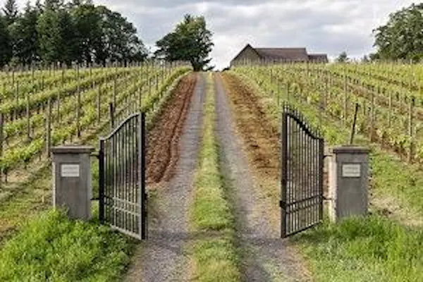 rural area, land lot, plain, agriculture, plantation, field
