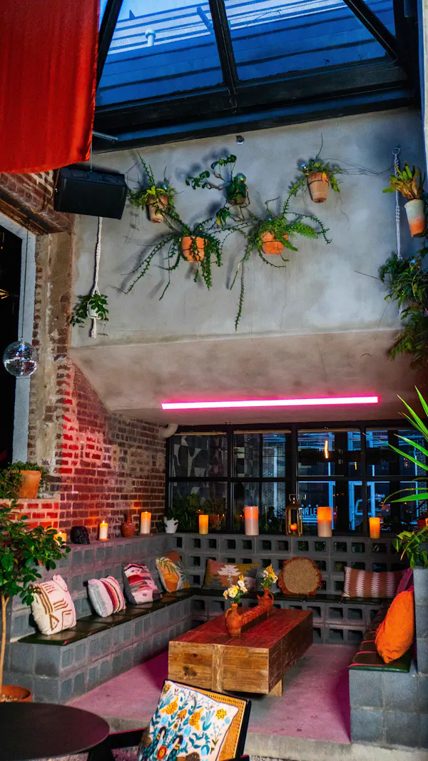 property, plant, window, building, couch, orange