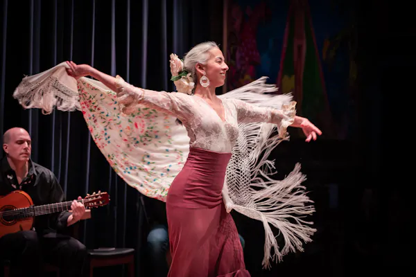 performing arts, entertainment, chordophone, performance, performance art, artist