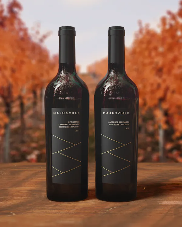bottle, liquid, wine, glass bottle, wood, tree