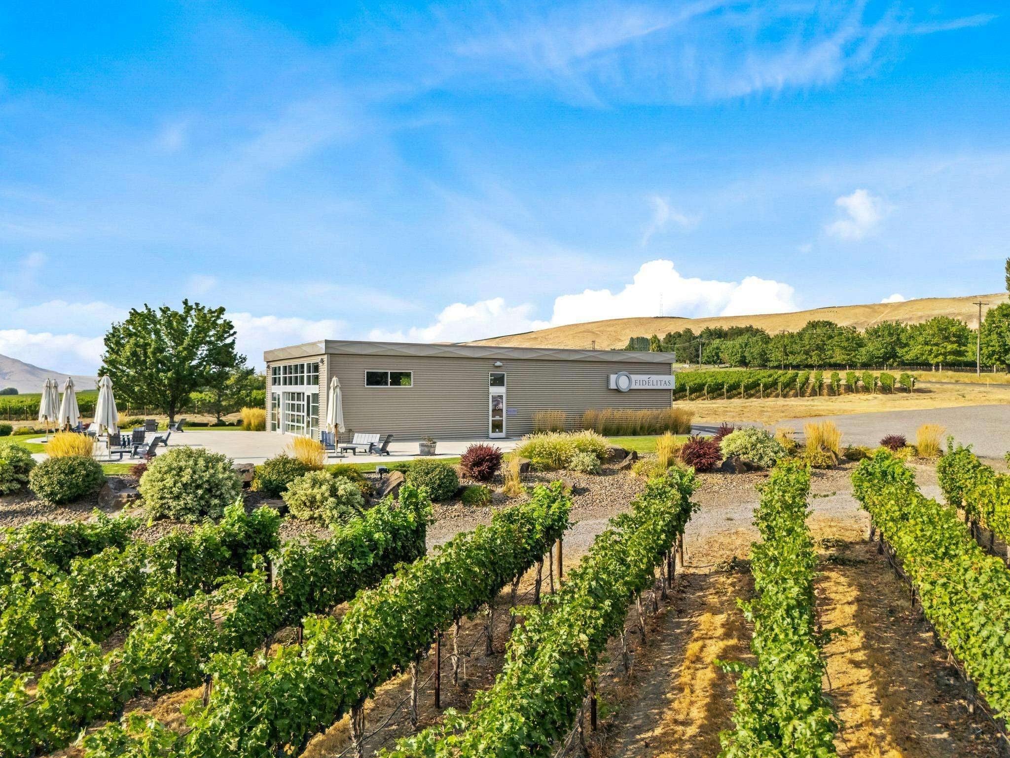 Fidélitas Wines - Red Mountain