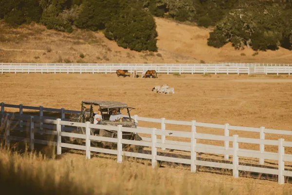 fence, split-rail fence, pasture, ranch, field, prairie